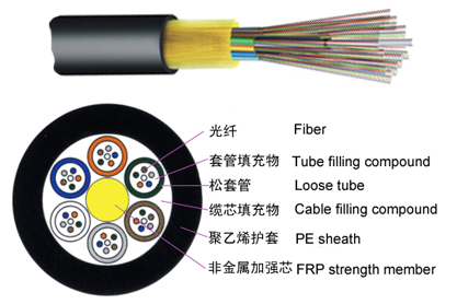 2020һr̎b̡¹c늚ͨŲ