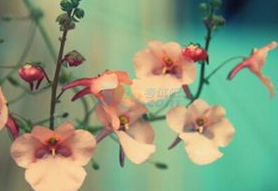2017꿼δVl(f)ǰď(f)(x)