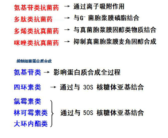 2010(zh)I(y)ˎԇˎW(xu)I(y)֪R(sh)(һ)(f)(x)Ҫc(din)(32)