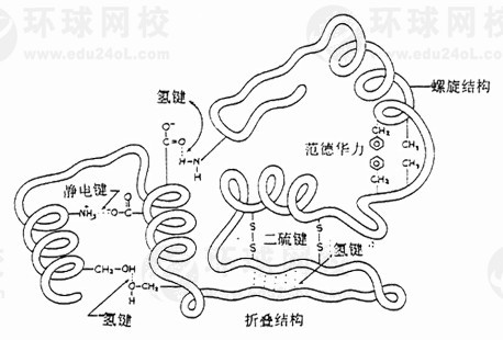 2011̘IˎˎWIժҪ18(1)