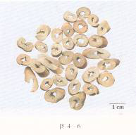 2016̘IˎˎI֪Rһ(2)