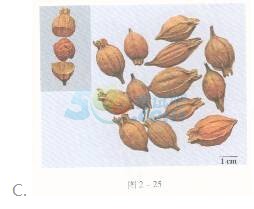 2016̘IˎˎI֪RһRͨP(2)