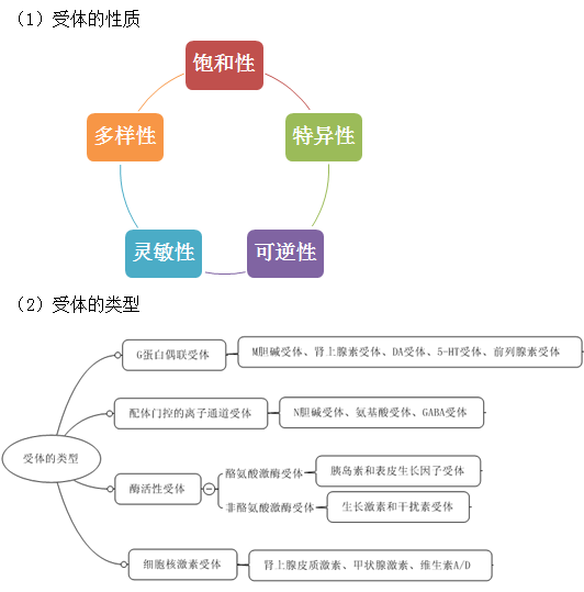 2019(zh)I(y)ˎˎW(xu)I(y)֪Rһ֪Rc(din)(5)