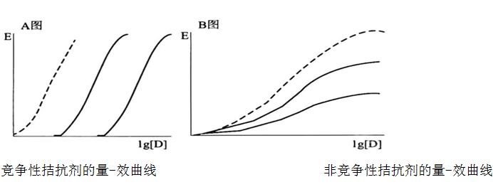 2019̘IˎˎWI֪Rһ֪Rc(10)