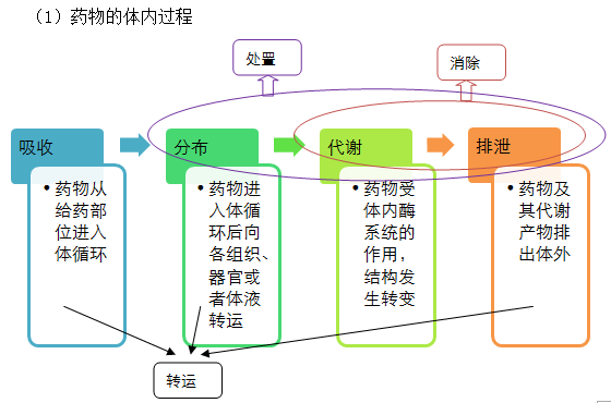 2019(zh)I(y)ˎˎW(xu)I(y)֪Rһ֪Rc(din)(21)