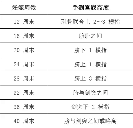 2020o؂䣺10DaƳE