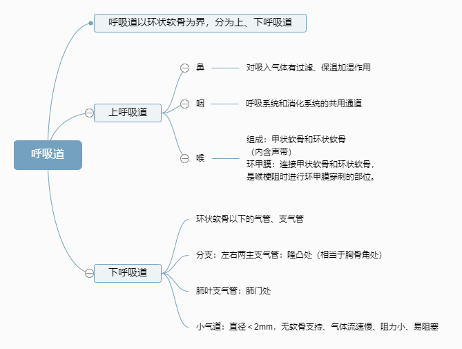2022o(h)俼֪R(sh)c(din)Ę(gu)