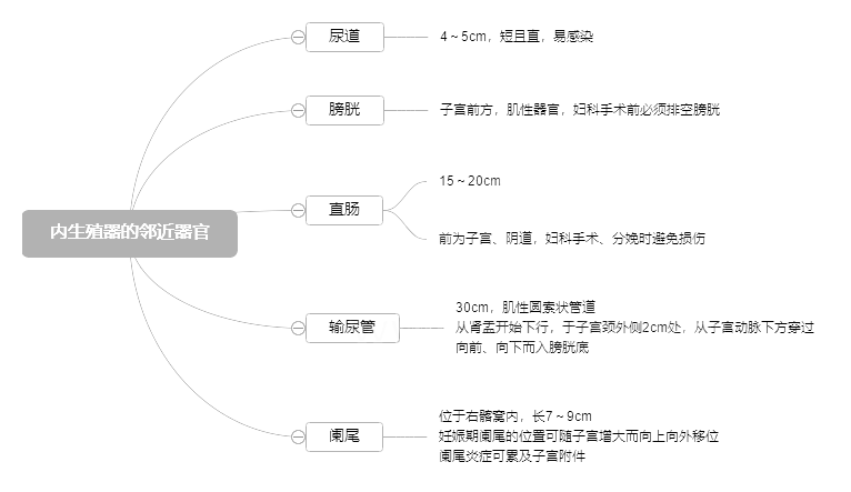 2022o俼֪Rcֳ