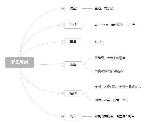 2022o俼֪Rcѳ