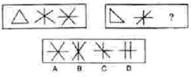x{DΈD