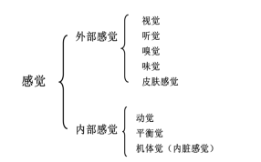 2019̎YСWcYX
